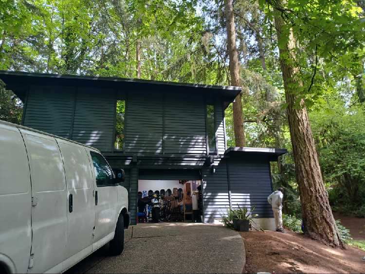 Painted house