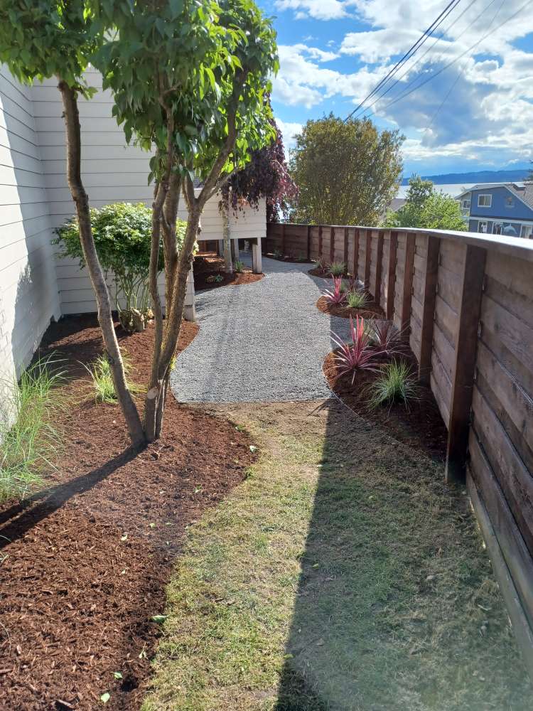 Landscaping before