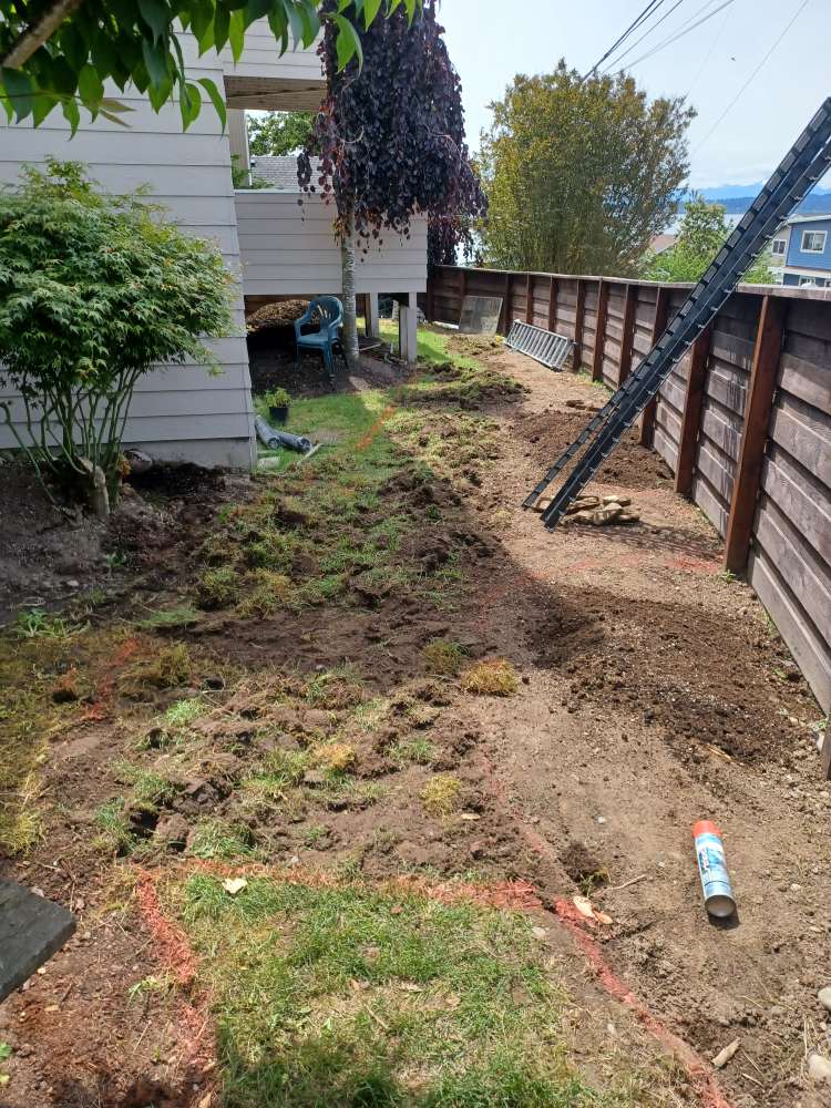 Landscaping after