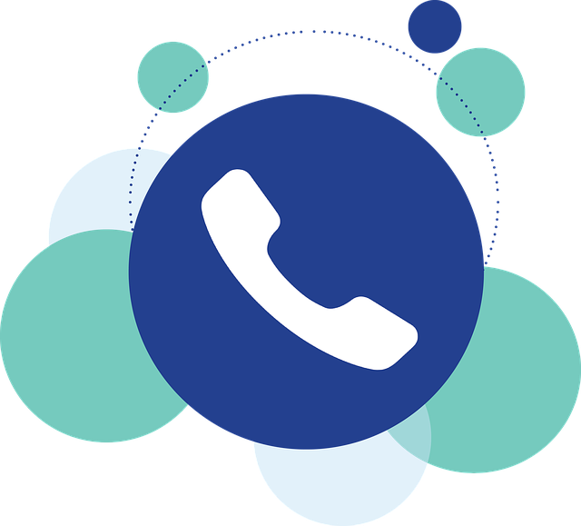 Phone Logo